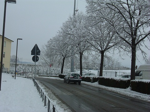 Viale ghiacciato