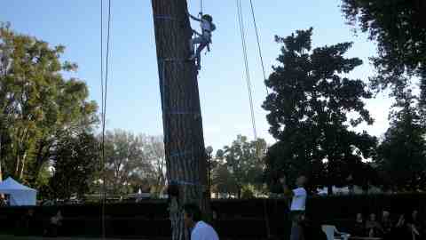 ruralia cascine_tree climbing