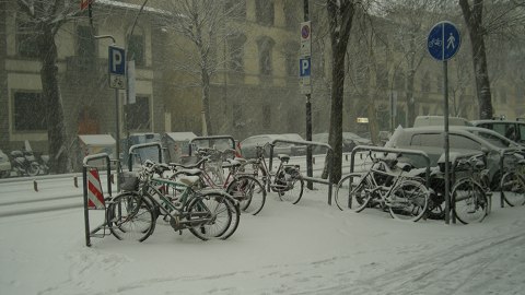 Firenze _bici in viale dei Mille