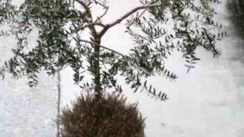 piazzale chiesa lastra a signa con la neve