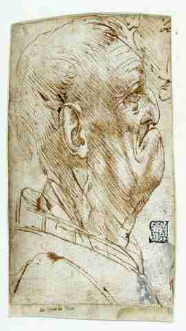 Leonardo – Testa di vecchio di profilo verso destra, mostra, firenze