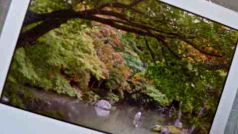 giappone istantanee a confronto_giardino