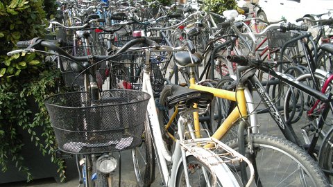 Ladro di biciclette fermato a Firenze