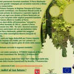compra una foresta