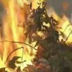 incendio