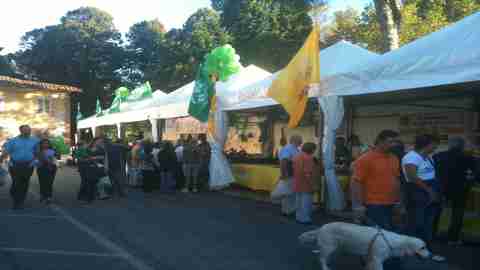 stand expo rurale