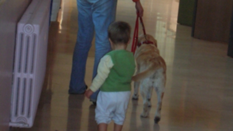 pet teherapy