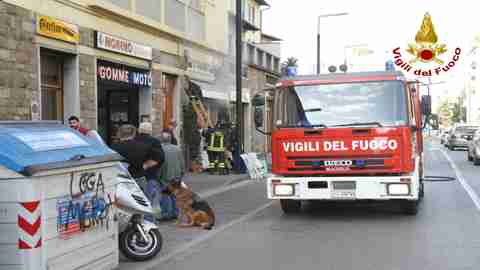 vvf per incendio gelateria firenze