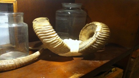 materiale piccolo darwin